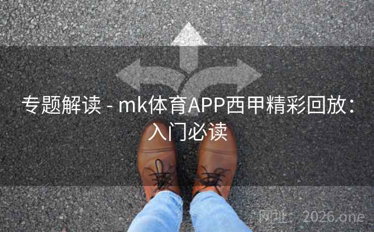 专题解读 - mk体育APP西甲精彩回放：入门必读