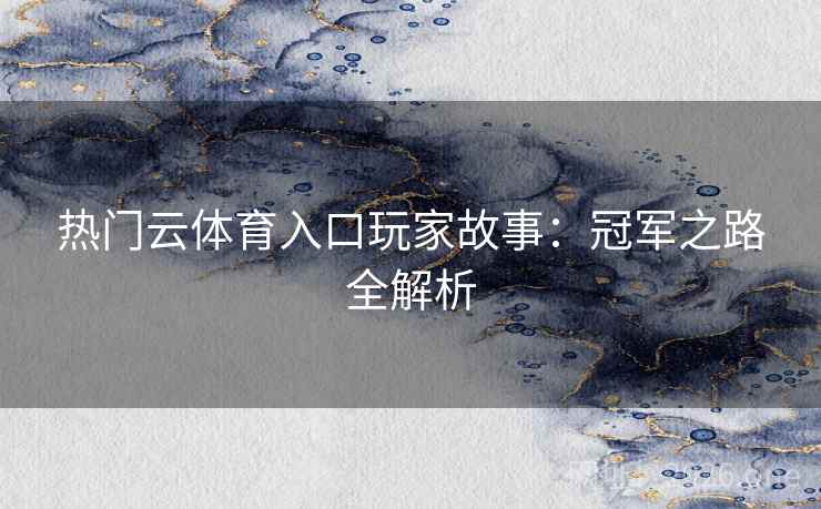 热门云体育入口玩家故事：冠军之路全解析