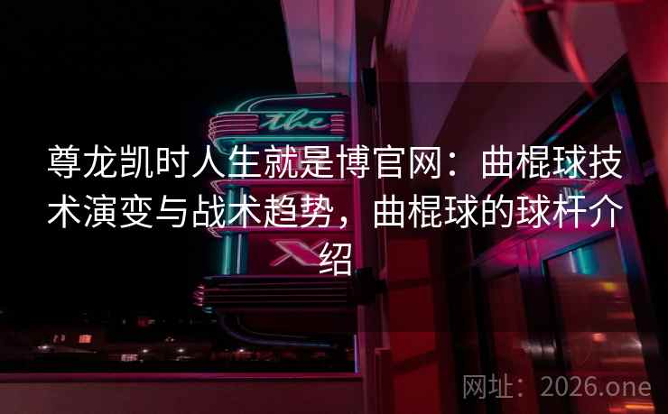 尊龙凯时人生就是博官网：曲棍球技术演变与战术趋势，曲棍球的球杆介绍