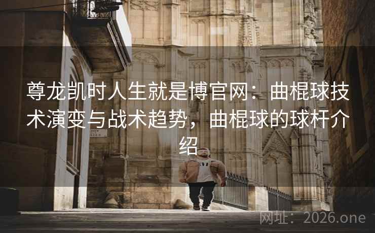 尊龙凯时人生就是博官网：曲棍球技术演变与战术趋势，曲棍球的球杆介绍