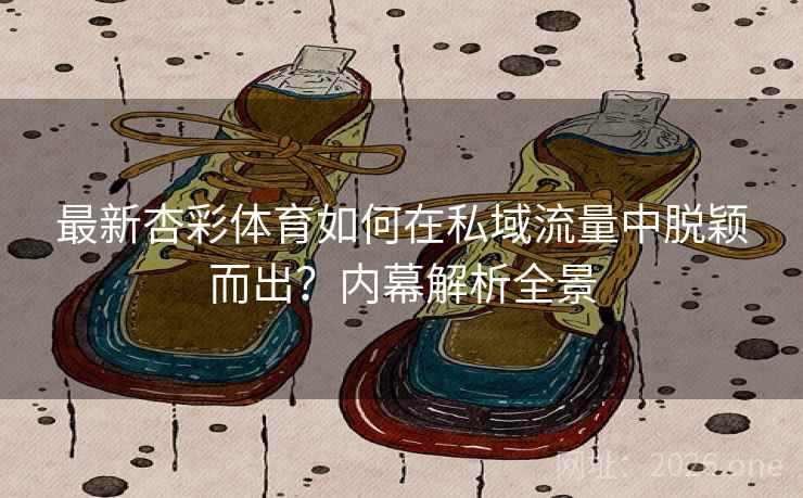最新杏彩体育如何在私域流量中脱颖而出?内幕解析全景
