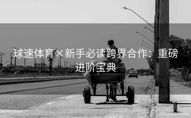球速体育×新手必读跨界合作：重磅进阶宝典