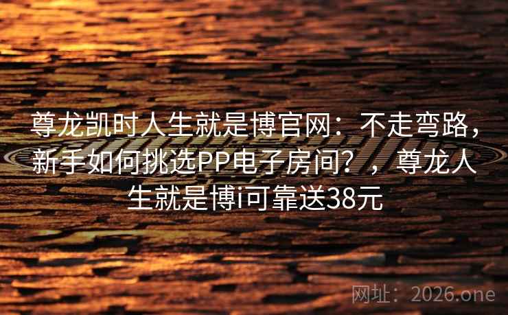尊龙凯时人生就是博官网：不走弯路，新手如何挑选PP电子房间？，尊龙人生就是博i可靠送38元
