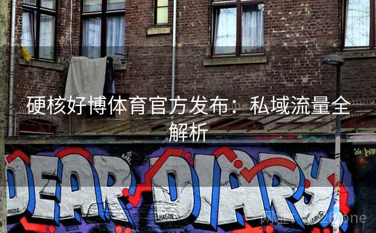 硬核好博体育官方发布：私域流量全解析