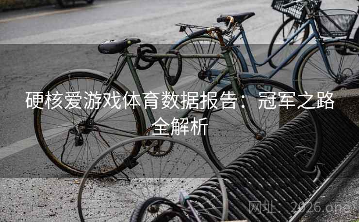 硬核爱游戏体育数据报告：冠军之路全解析