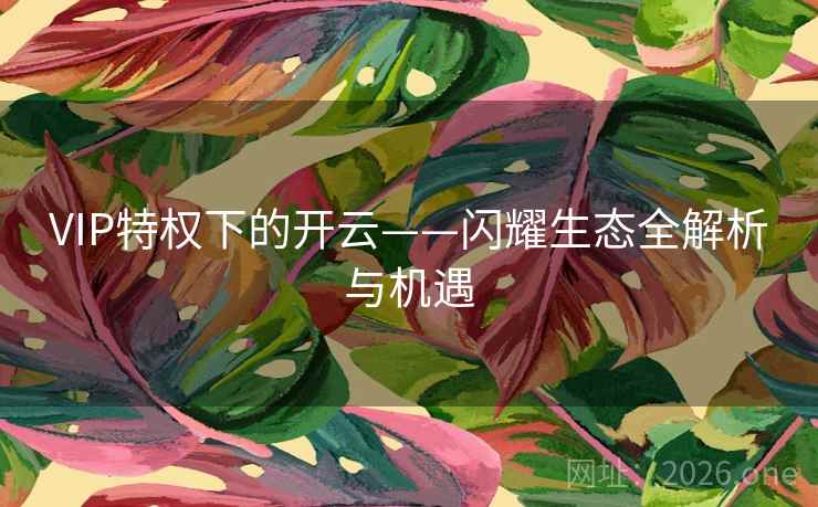 VIP特权下的开云——闪耀生态全解析与机遇