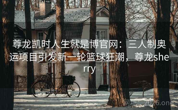 尊龙凯时人生就是博官网：三人制奥运项目引发新一轮篮球狂潮，尊龙sherry