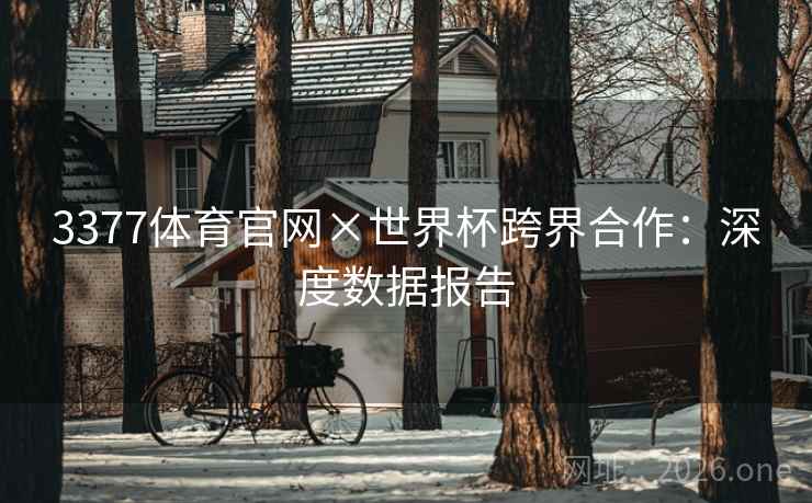 3377体育官网×世界杯跨界合作：深度数据报告