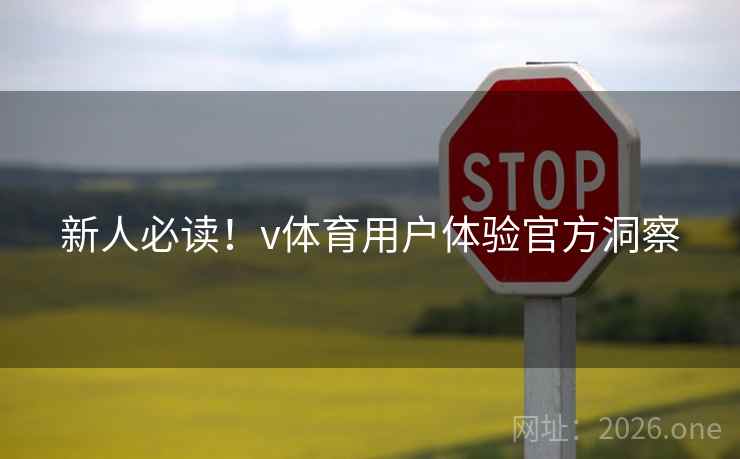 新人必读！v体育用户体验官方洞察