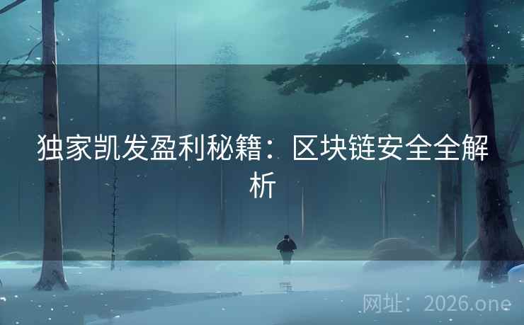 独家凯发盈利秘籍：区块链安全全解析