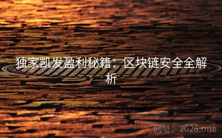 独家凯发盈利秘籍：区块链安全全解析