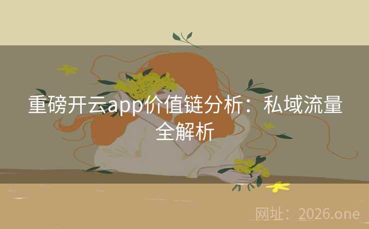 重磅开云app价值链分析：私域流量全解析