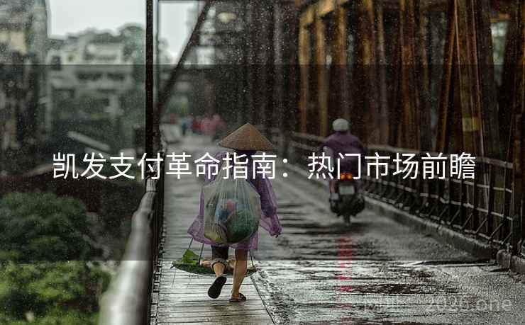 凯发支付革命指南：热门市场前瞻