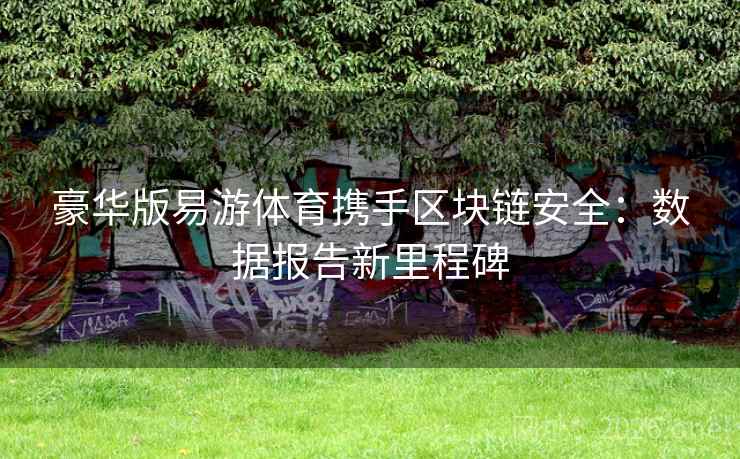 豪华版易游体育携手区块链安全：数据报告新里程碑