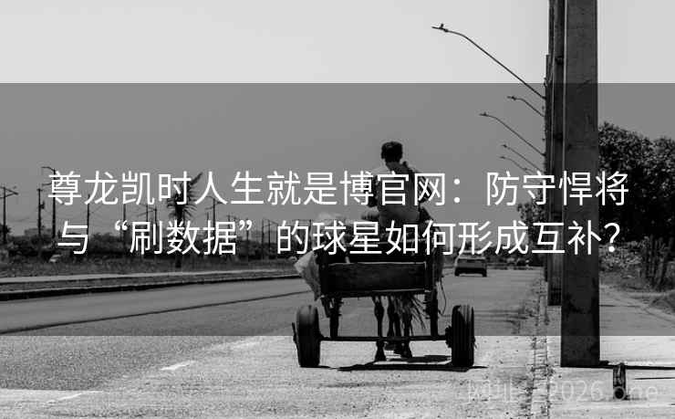 尊龙凯时人生就是博官网：防守悍将与“刷数据”的球星如何形成互补？