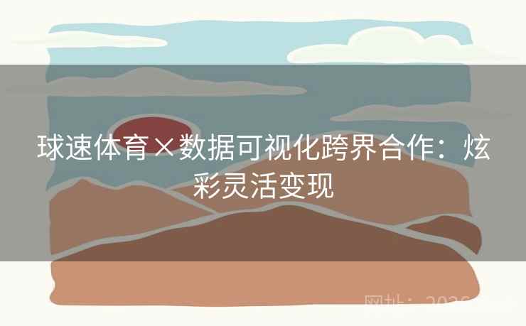 球速体育×数据可视化跨界合作：炫彩灵活变现