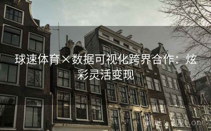 球速体育×数据可视化跨界合作:炫彩灵活变现 球速体育×数据可视化跨界合作:炫彩灵活变现