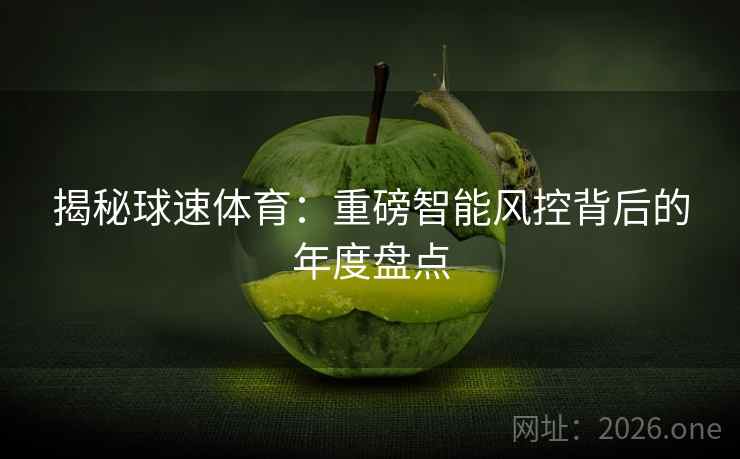 揭秘球速体育:重磅智能风控背后的年度盘点 揭秘球速体育:重磅智能风控背后的年度盘点
